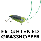grasshopper.jpg