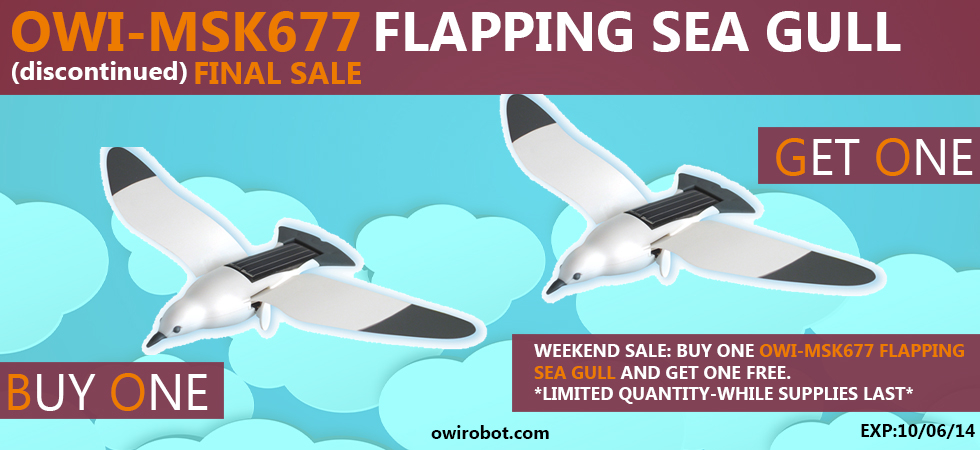 FLAPPING SEA GULL BOGO