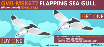 FLAPPING SEA GULL BOGO