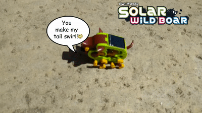Solar Wild Boar