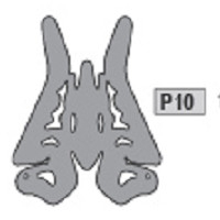 10-3730P10 P10