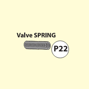 22-3910200P22 Valve Spring