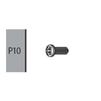 10 - 66900P10  TAPPING SCREW