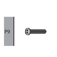 09- 66900P9  TAPPING SCREW LONG