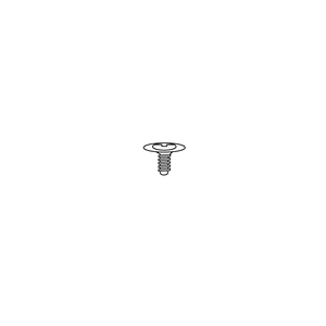 25-99300P25 Tapping Screw w\ washer (small)
