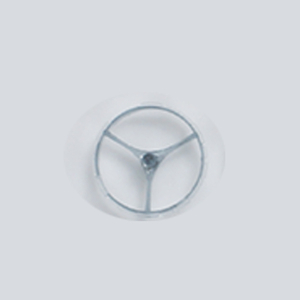 10-05800P10 Back Wheel Hub