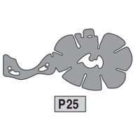 25-3720P25 P25
