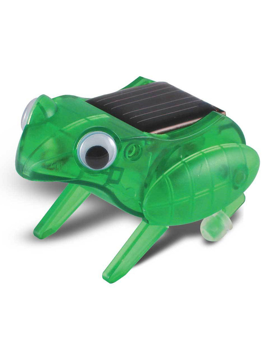 Happy Hopping Frog