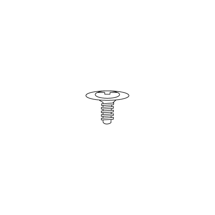 24-99300P24 Tapping Screw w\ washer
