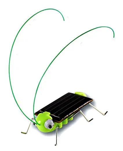 Solar Frightened Grasshopper