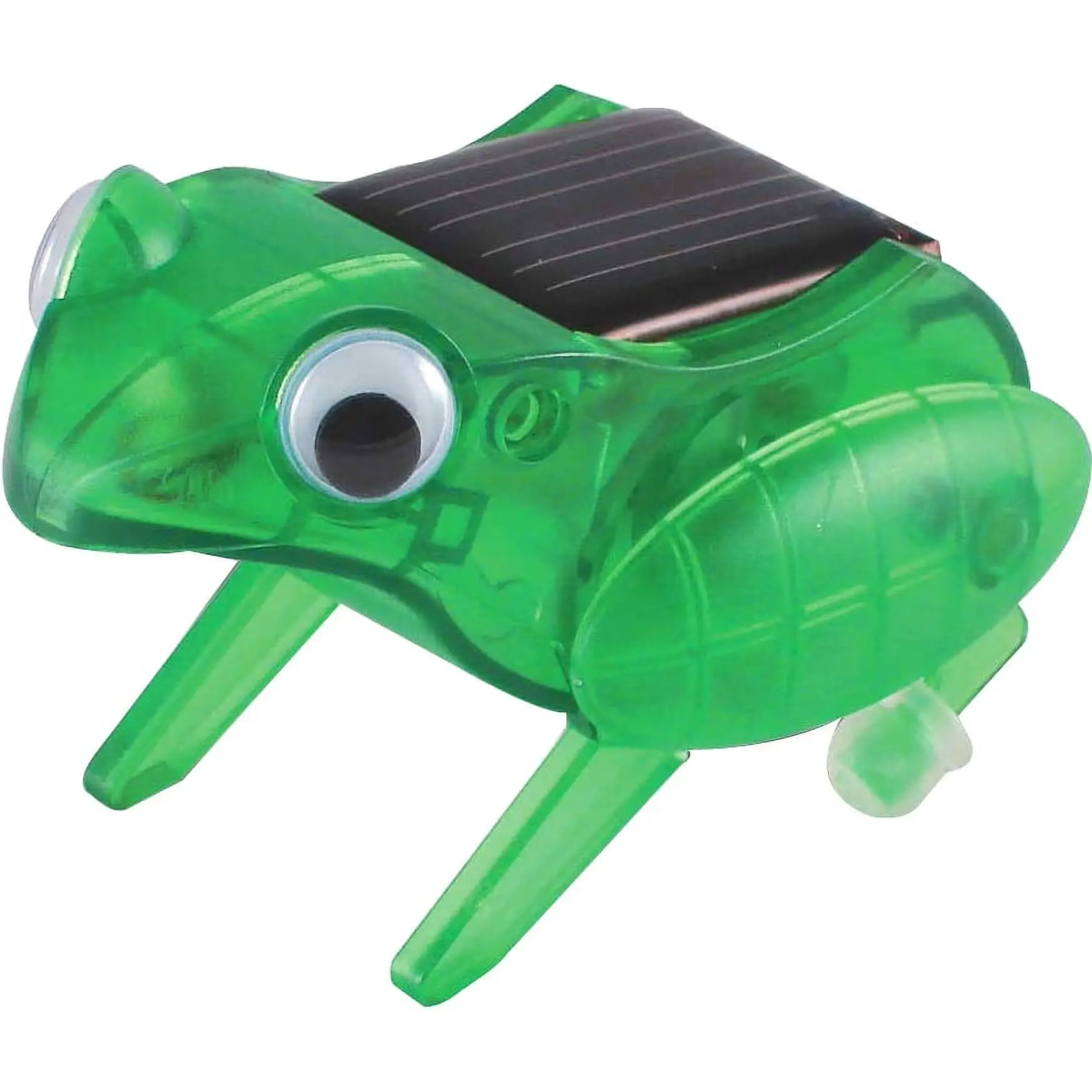 Happy Hopping Frog